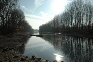 Alt-Rhein im Herbst